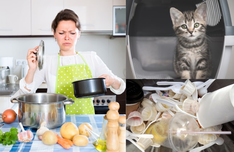 Mùi hôi trong không gian sống có thể do nhiều yếu tố khác nhau gây nên