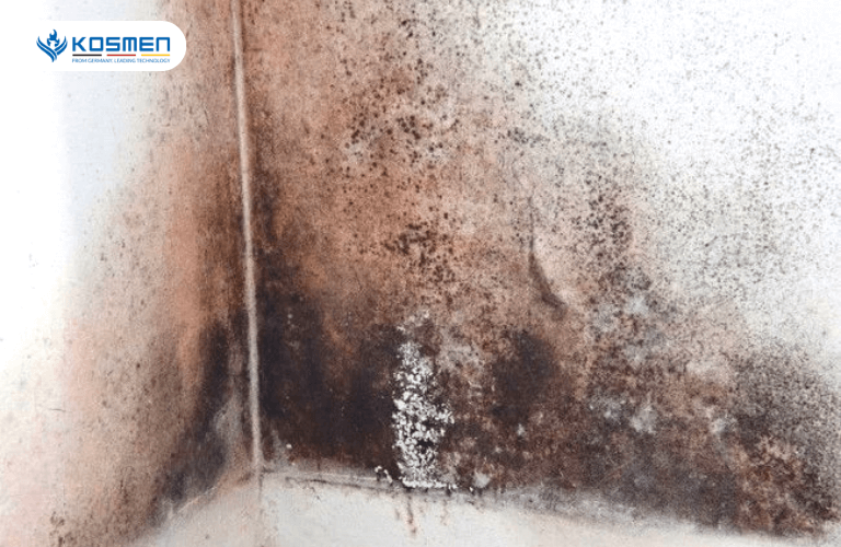Nấm mốc màu nâu thường có ở những nơi ẩm ướt như phòng tắm