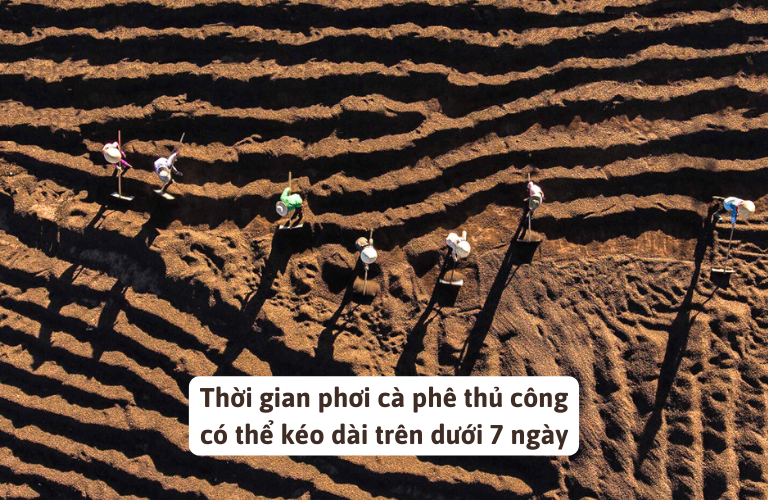 Người d&acirc;n Kon Tum sử dụng phương ph&aacute;p phơi nắng để sấy kh&ocirc; c&agrave; ph&ecirc;