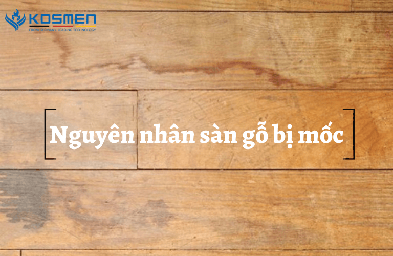 Nguyên nhân sàn gỗ bị ẩm mốc