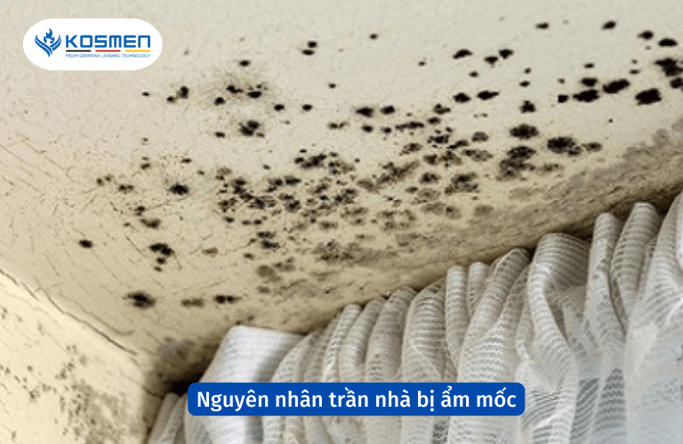 Có nhiều nguyên nhân khiến trần nhà bị ẩm mốc