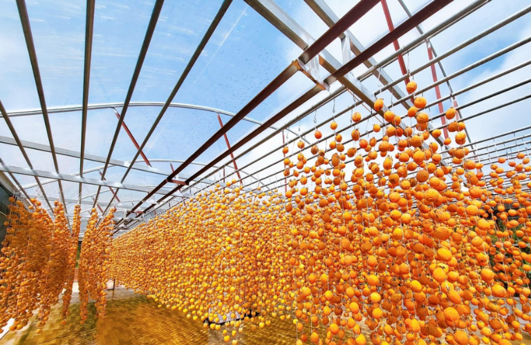 Nh&agrave; k&iacute;nh phơi sấy n&ocirc;ng sản cần đảm bảo độ ẩm an to&agrave;n trong suốt qu&aacute; tr&igrave;nh sản xuất