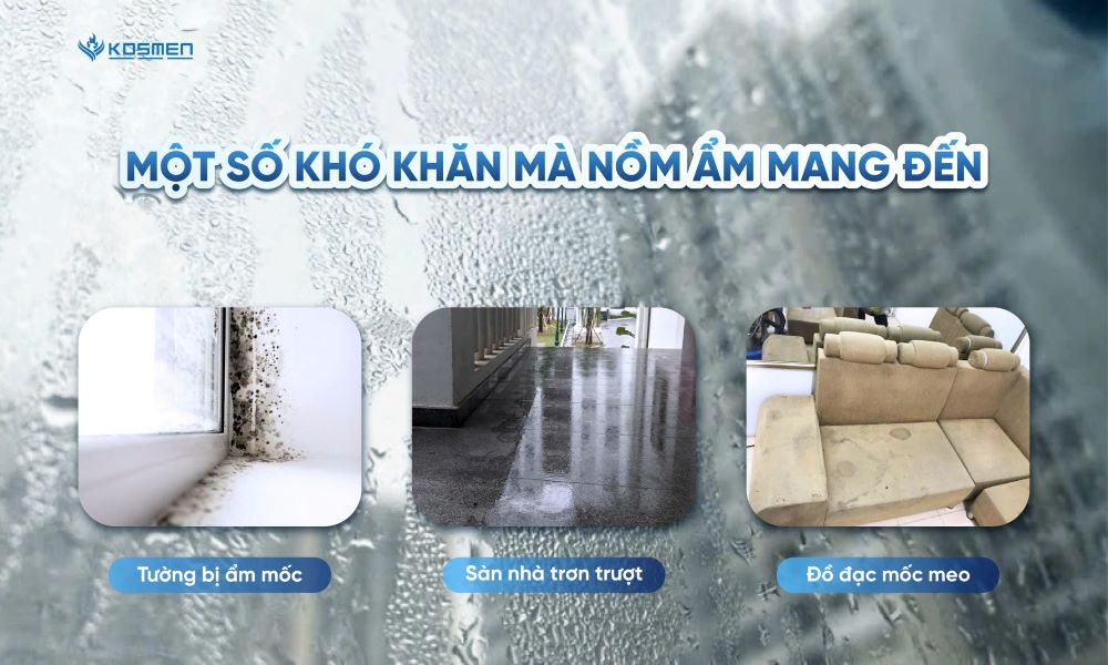 Độ ẩm cao gây ra nhiều vấn đề phiền toái cho người dân miền Bắc