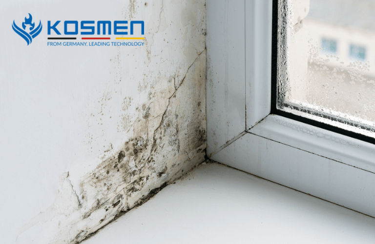Phòng Bị Ẩm Mốc Phải Làm Sao? 10+ Cách Chống Ẩm Mốc