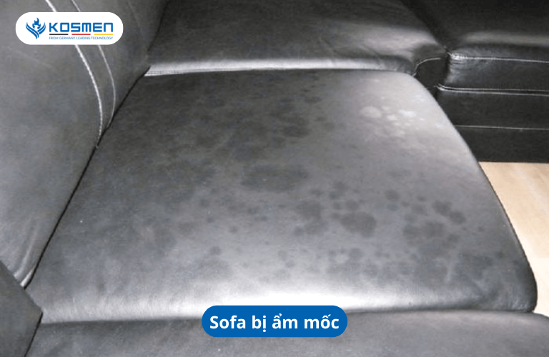 Nồm ẩm khiến sofa bị ẩm mốc mất thẩm mỹ