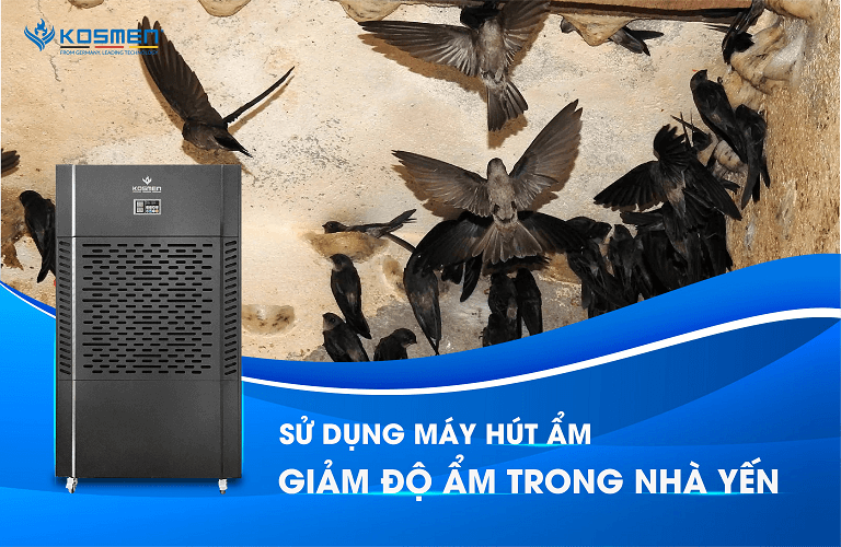 Sử dụng m&aacute;y h&uacute;t ẩm l&agrave; c&aacute;ch giảm độ ẩm trong nh&agrave; yến đặc biệt hiệu quả