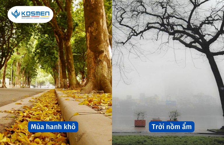 Thời tiết thất thường khiến độ ẩm trong phòng không ở mức thích hợp