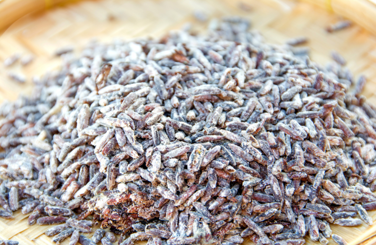 Nguyên liệu đầu vào bị ẩm mốc do không được kiểm soát ẩm