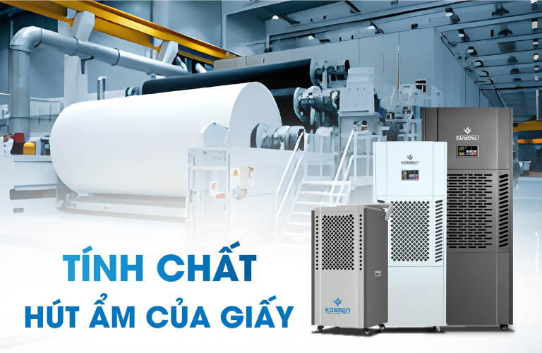 Tác Động Của Độ Ẩm Đến Sản Xuất Và Bảo Quản Giấy