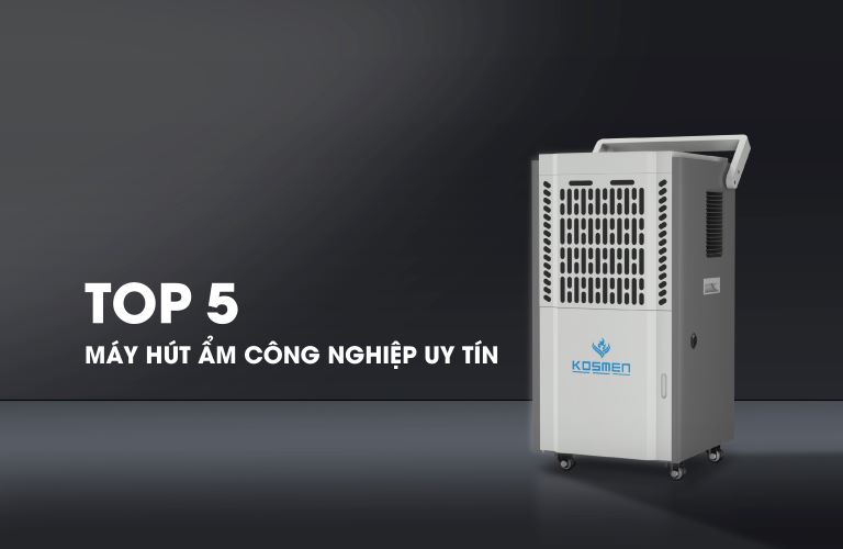 Top 5 Máy Hút Ẩm Công Nghiệp Uy Tín Trên Thị Trường