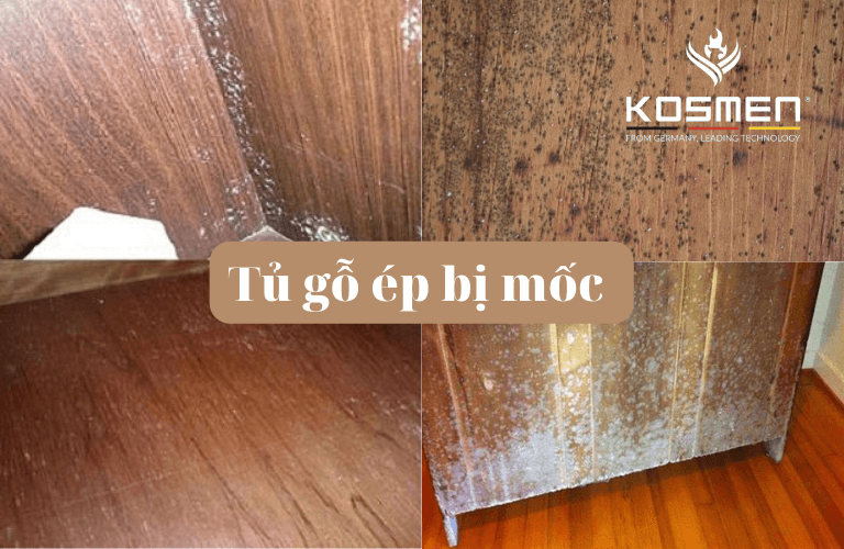 Top 10 Cách Xử Lý, Diệt Nấm Mốc Và Bảo Quản Tủ Gỗ Ép