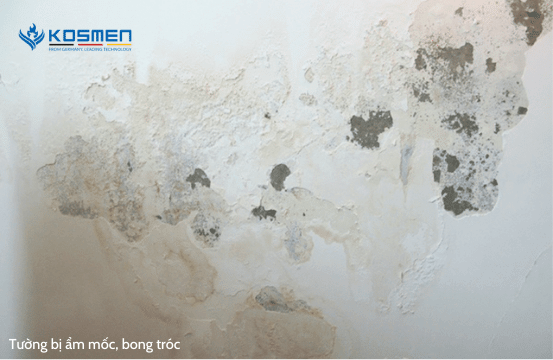 Tường không có vật liệu chống thấm dễ gây ẩm mốc trong nhà
