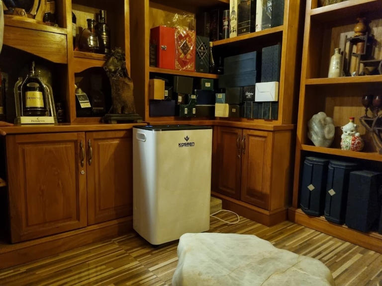 Độ ẩm cao là nguyên nhân chính dẫn đến mùi ẩm mốc khó chịu trong hầm rượu