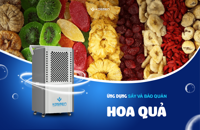 Máy hút ẩm giúp nâng cao chất lượng và giá trị kinh tế của hoa quả sấy
