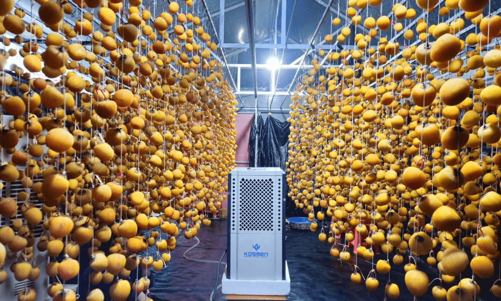 Máy hút ẩm Kosmen là trợ thủ đắc lực trong sản xuất và bảo quản hồng treo gió