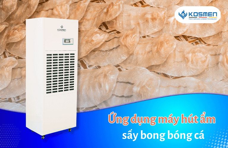 Ứng dụng của máy hút ẩm trong sấy bong bóng cá