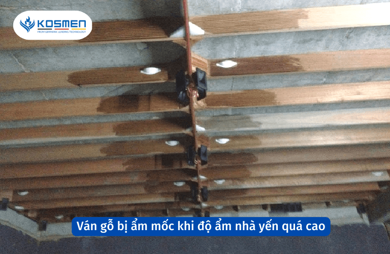 V&aacute;n gỗ để x&acirc;y tổ yến bị ẩm mốc khi độ ẩm nh&agrave; yến qu&aacute; cao