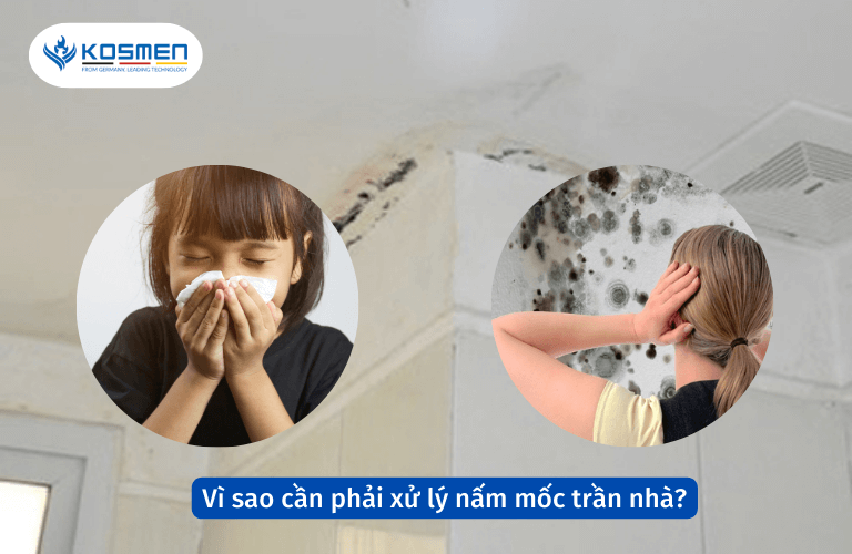 Vì sao cần phải xử lý nấm mốc trần nhà?