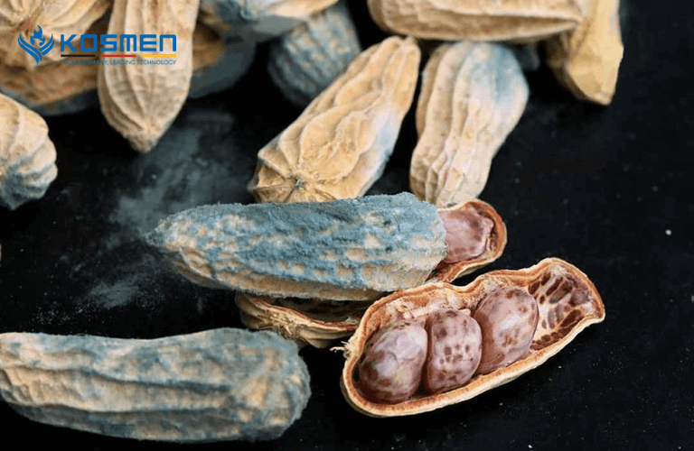 Vô tình ăn phải thực phẩm nấm mốc gây tác hại đến sức khỏe.