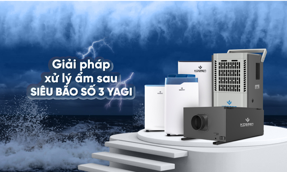 Hậu Siêu Bão Yagi: Khó Khăn Và Giải Pháp Khắc Phục Thiệt Hại Sau Bão